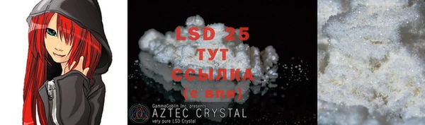 крисы Алзамай