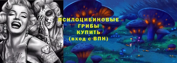 стаф Алексин