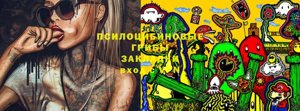 стаф Алексин