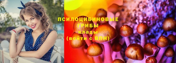 синтетический гашиш Абинск