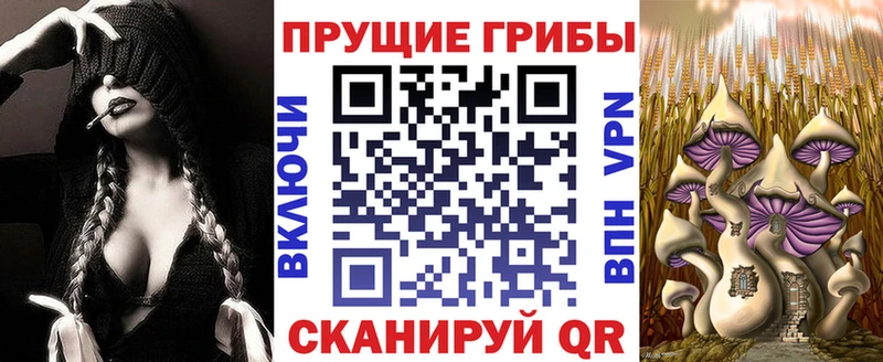 где купить наркоту  Темрюк  Галлюциногенные грибы Cubensis 