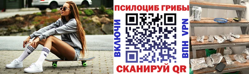 Псилоцибиновые грибы Cubensis Темрюк
