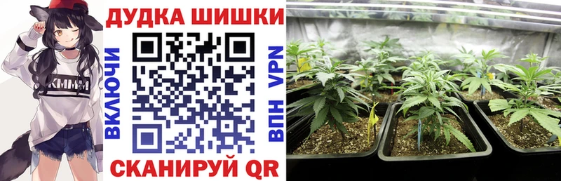 Шишки марихуана VHQ  Темрюк 